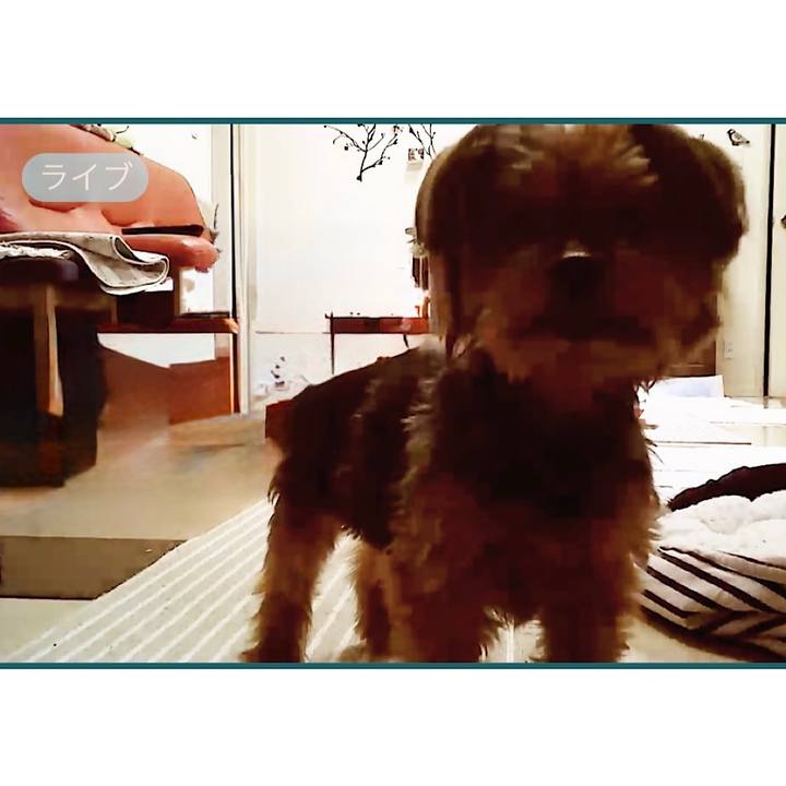 Db5bf57a 718e 48fb 91f4 42d31a3b678c 1739835534324