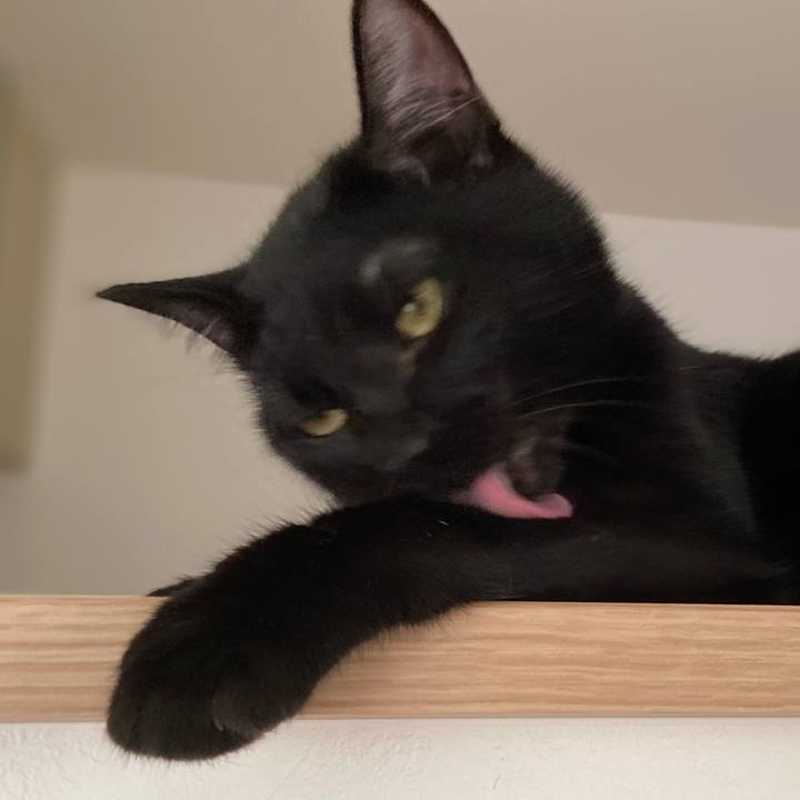 Db5bfb3e 245a 4b42 bb61 e7606dc585d4 1624192627378