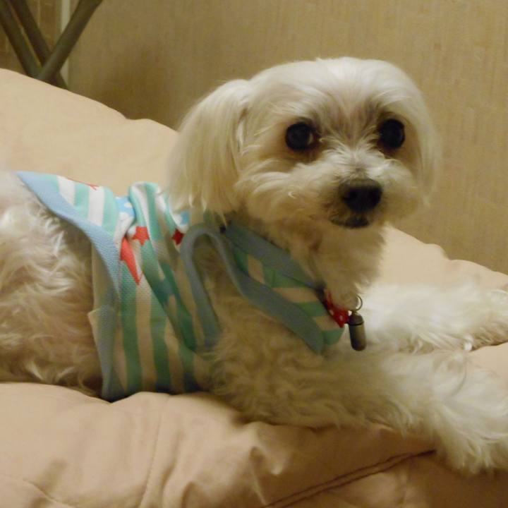 Db5c0ed6 ca21 4aa4 94be cab9a75cf903 1524617452465