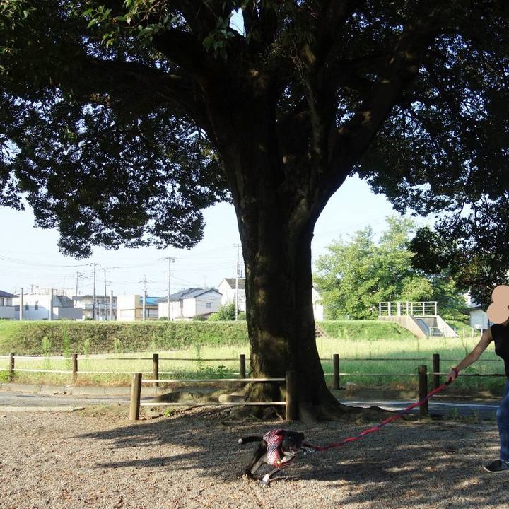 Db5c4ed0 a065 4513 baf6 6d652a1a22f6 1597968757824