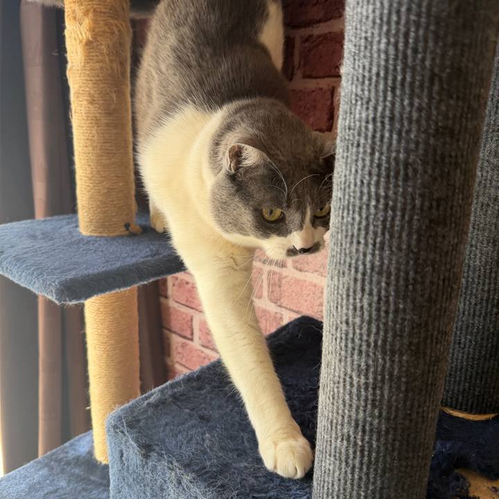 Db5c5624 cd56 40ae 9778 b9e3e4df2811 1772329413926