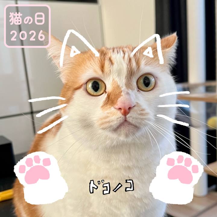 Db5c5ad1 9e65 47a9 957b 0c51ac81d8b7 1771731100992