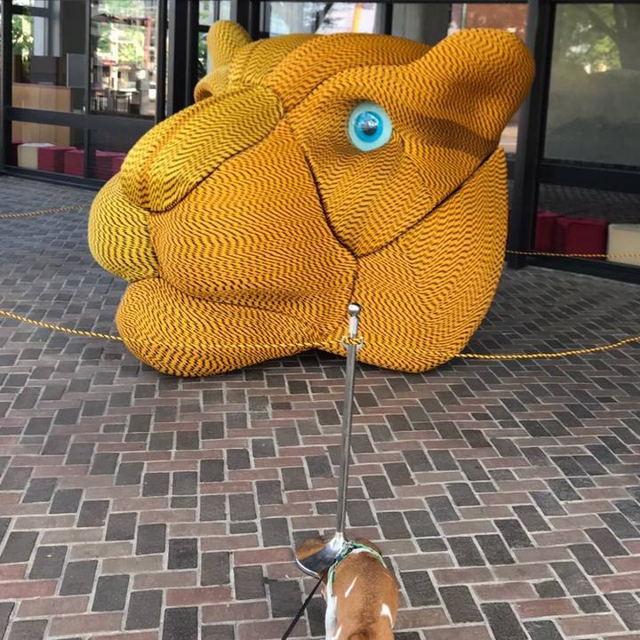 Db5c81c2 7d0d 4c3c 9d50 9da0b552c5a7 1558440664279