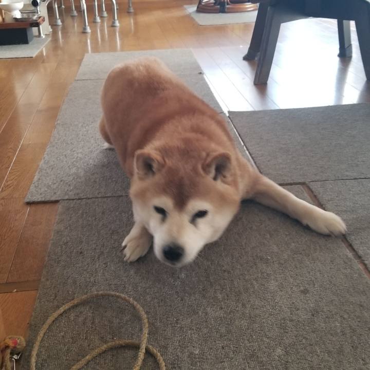 Db5cdc11 bab4 490d b969 99691cb5f503 1739668363764