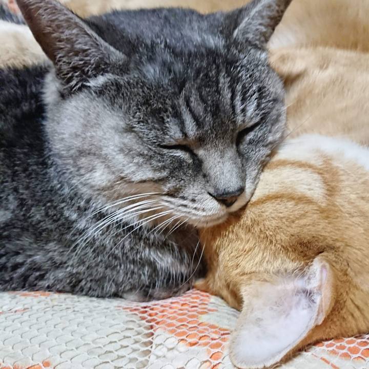 Db5cf6ba 968e 4b67 9434 b09614b3e77a 1605875198203