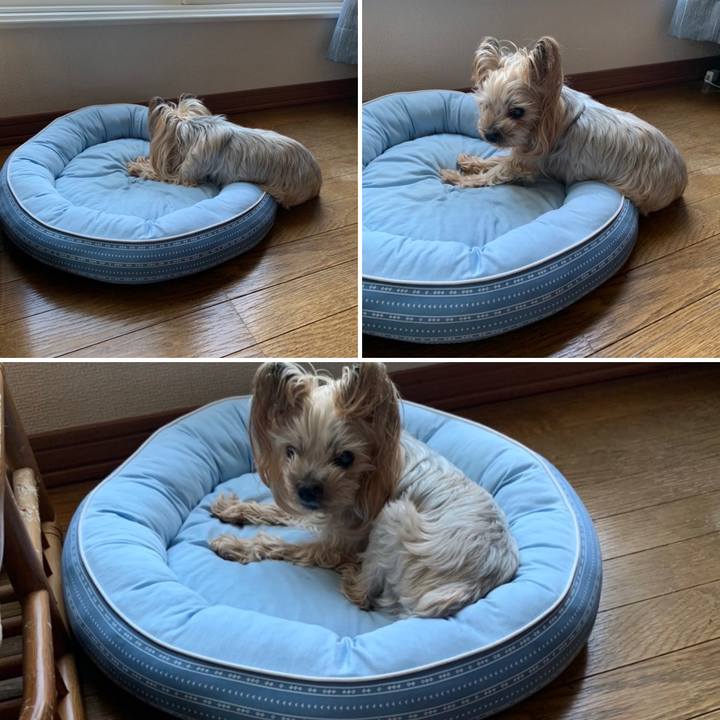 Db5d0c60 b362 40c4 97f1 263c678746cb 1655285212253