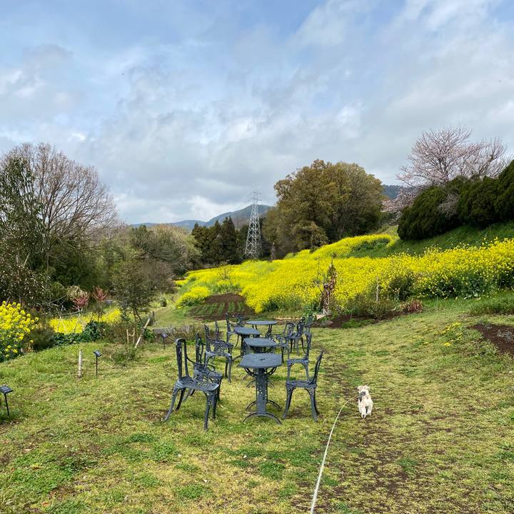 Db5d1234 9524 446a b2e8 8e9600dcb452 1585384445021