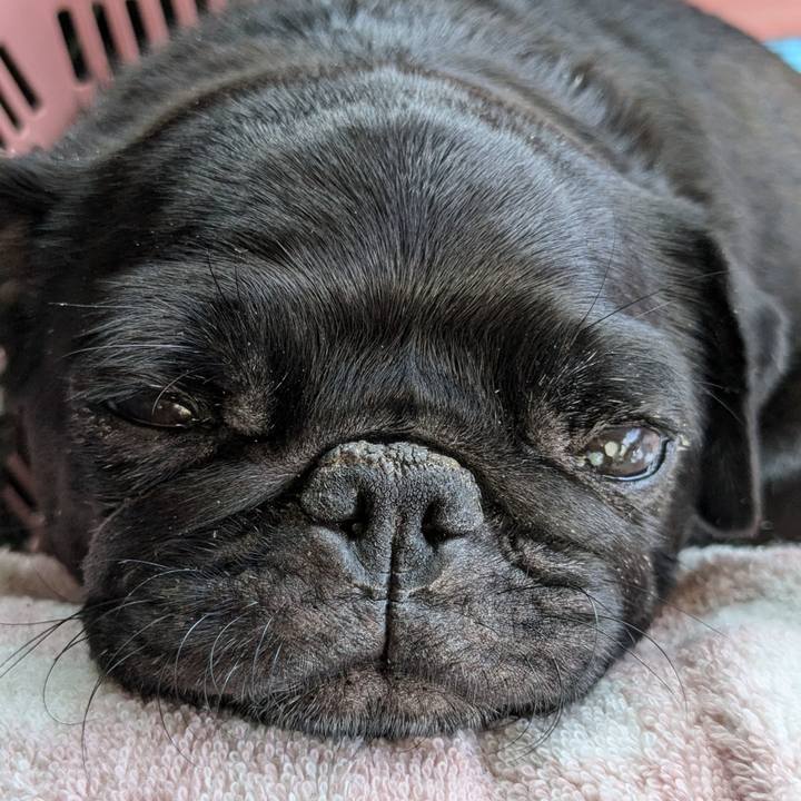 Db5d29a8 09b8 4764 b5fc cd142dc6a2be 1752547398991