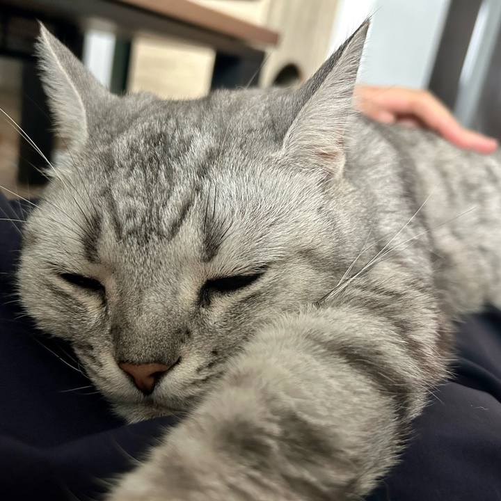 Db5d9e6a d8ce 4fbc b7c9 97267128d8f9 1714971082079