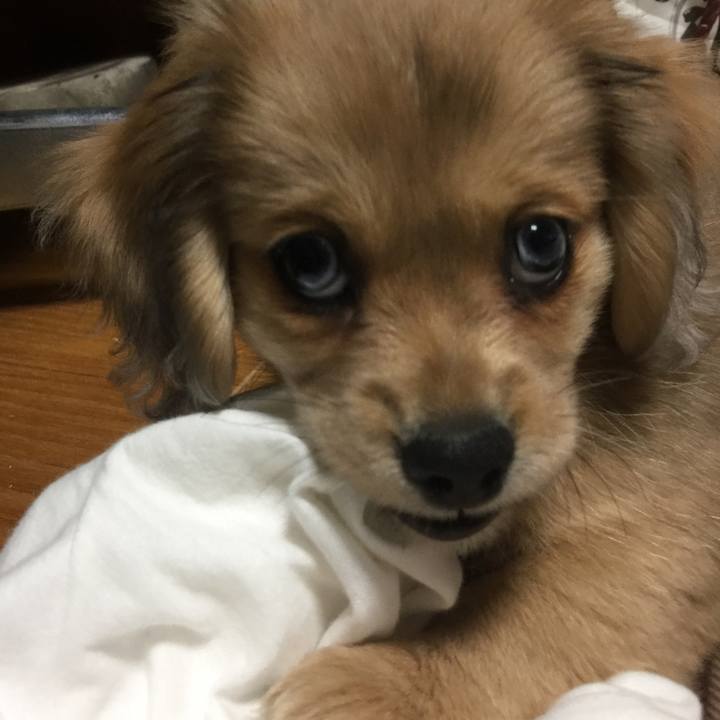 Db5dac6c a63b 429a 8036 15c59c4306d9 1571487640769