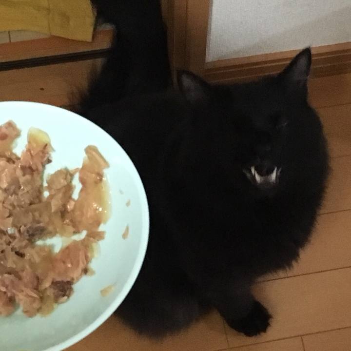 Db5dcf69 823b 493c aebb ae0e9ebae5f8 1515573345424