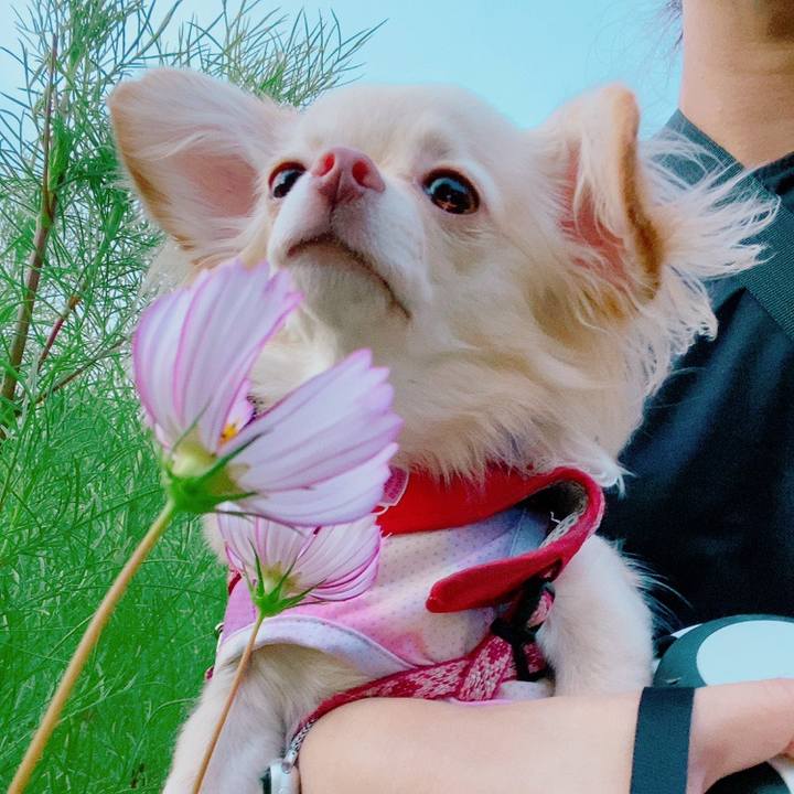 Db5dd0ec 3516 49e7 a9ae f9bbcbcb9d06 1627295899228