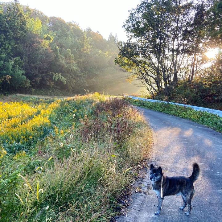 Db5e016b 5b44 4fb1 8c35 3b6825dce7a5 1635981950855