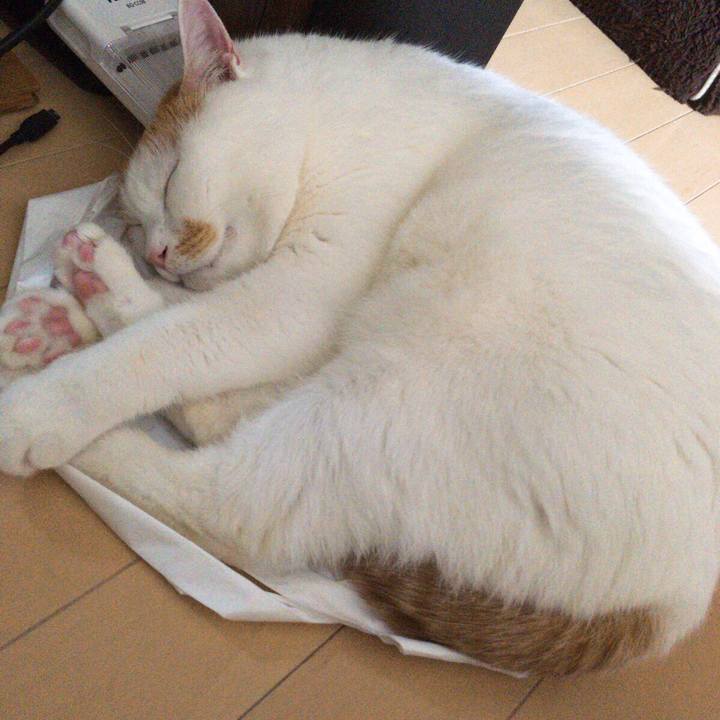 Db5e01ca 9707 4c9a 8cf9 fb8dd7326fc1 1511357693396