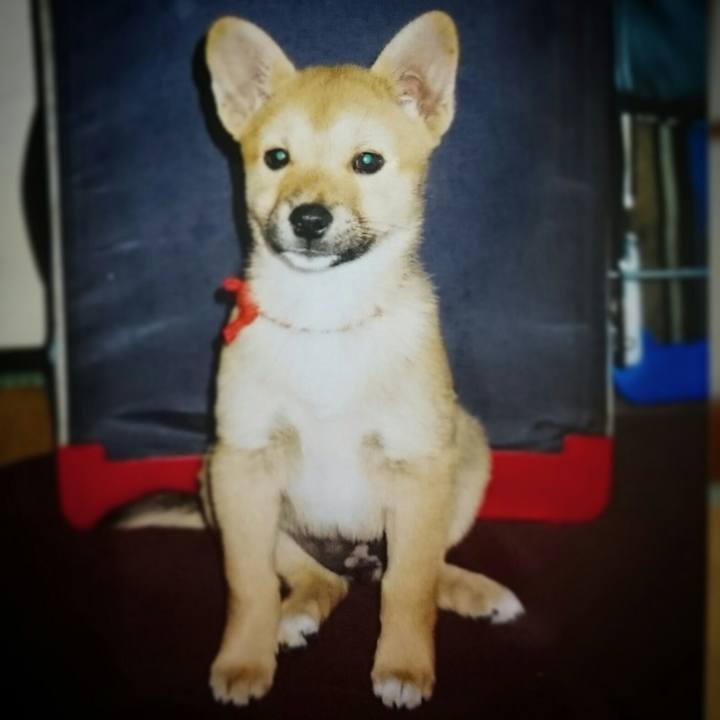 Db5e145a 75c6 4d7c bbb1 a21cd4d03d33 1560947369616