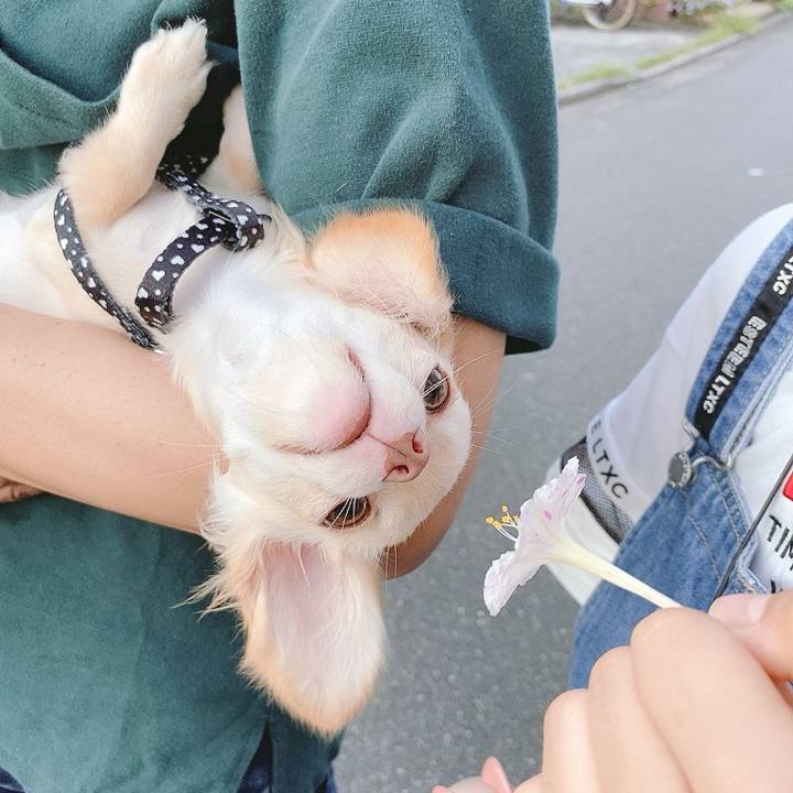 Db5e15c9 9ec6 40e6 9bd1 7b1546b54483 1595385242467