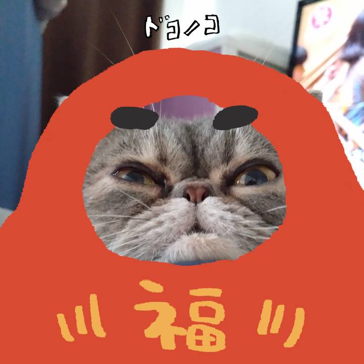 Db5e269b 8273 4f05 8dab 7e0b7dc78ca7 1771907541620