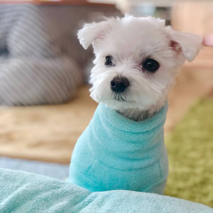 Db5e4481 b586 4be2 8dd0 66e3b9e96043 1550804247604