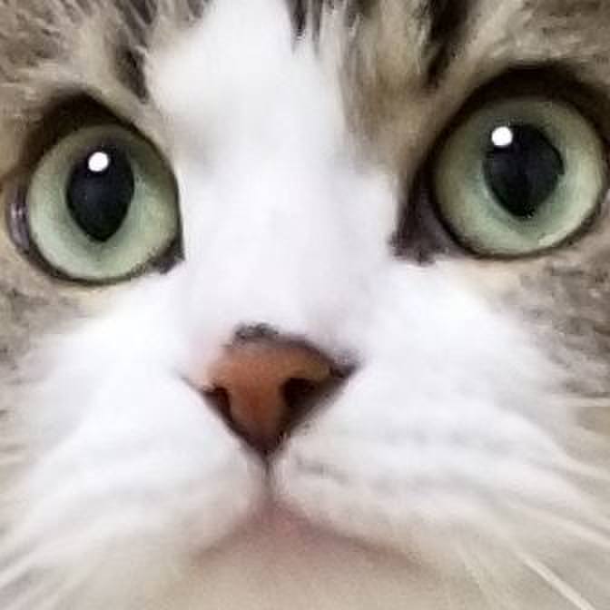 Db5e4ab7 0b95 4157 bb5c 09e9c11ef3c4 1576272950077