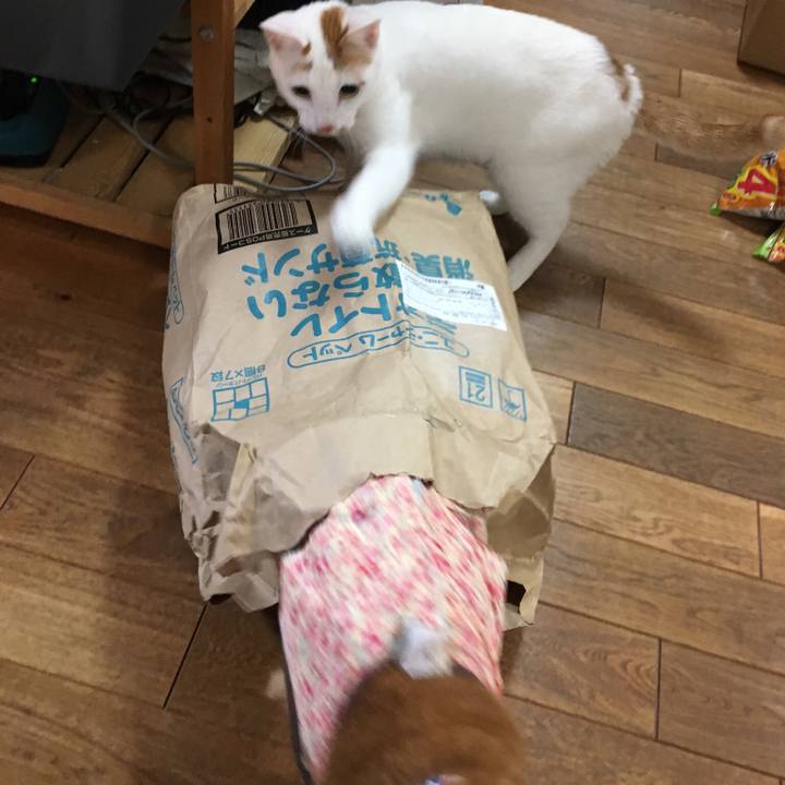 Db5e51d8 7880 4f0e bcf1 65d258af7eba 1518791049383