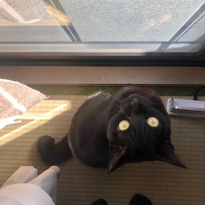 Db5e5d77 0a4e 4737 8874 ca0bdb0b77b3 1611197959139