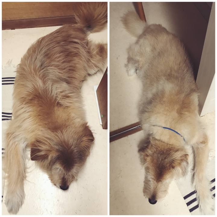 Db5e7e7f a327 4f4b 89bf 6ed15dd3120e 1592011014751