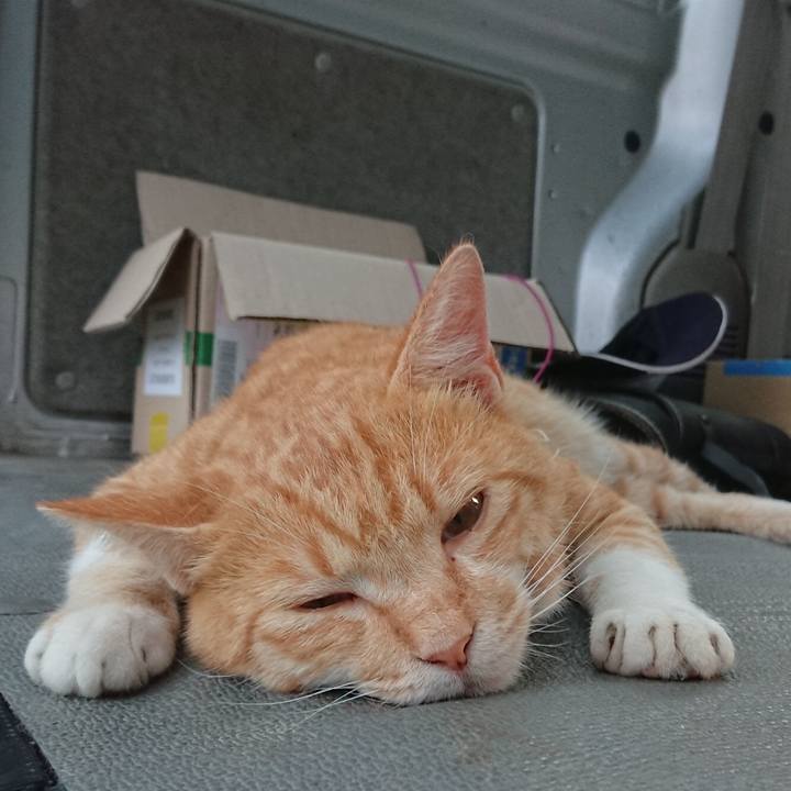 Db5e80aa a440 426e 9106 6053cb4282e1 1564480624712