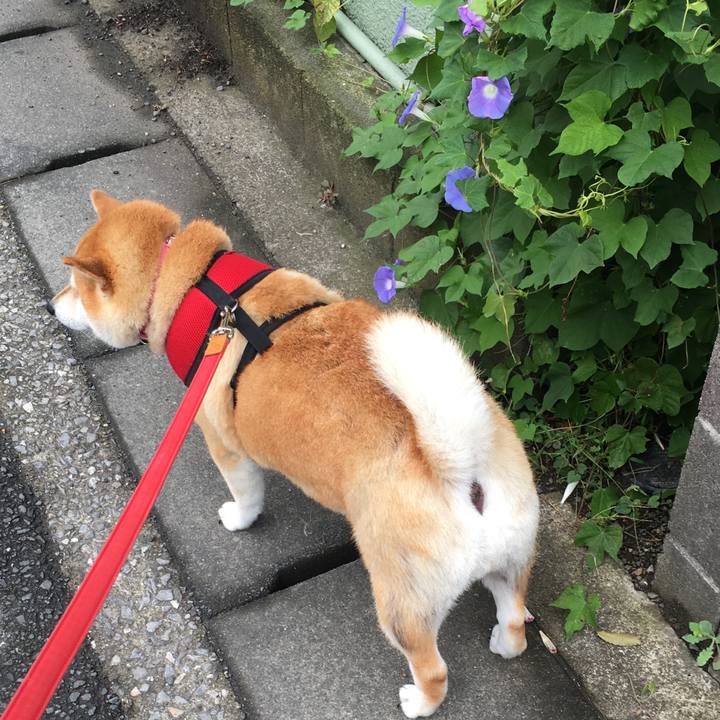 Db5e8746 b52d 46a7 a35f 8eb52325d7d5 1600651227035