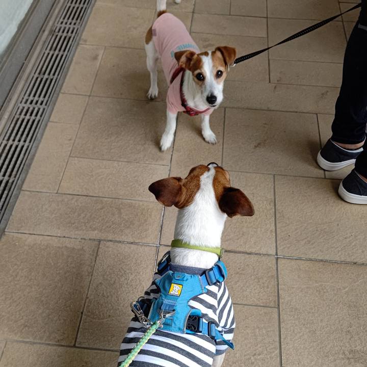 Db5e9006 6b70 4f65 b375 3cf3a03883de 1619598099071