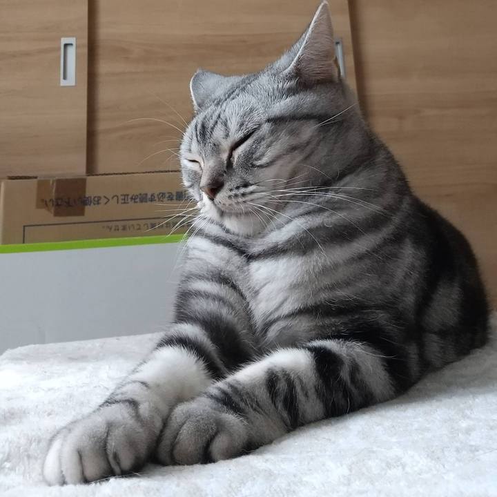 Db5ea849 dc9c 4572 9a1b 522766f414aa 1664366150558