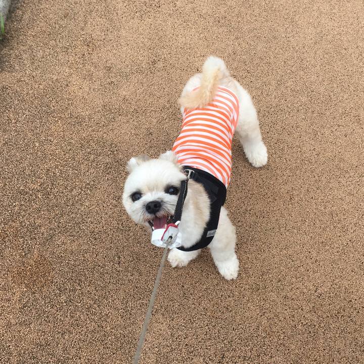 Db5eda2f ce5a 4167 86aa 026f5648d368 1533211596723