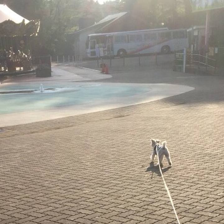 Db5efc58 9510 4d0a a19c f89940af1c54 1509452080073