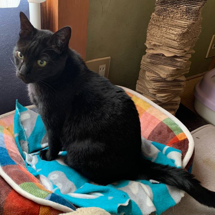 Db5efd26 b7c6 426f b881 bbc1951d7005 1584841727436