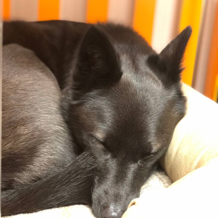 Db5f1012 f520 4790 97f0 fc6d46412f04 1544663323138