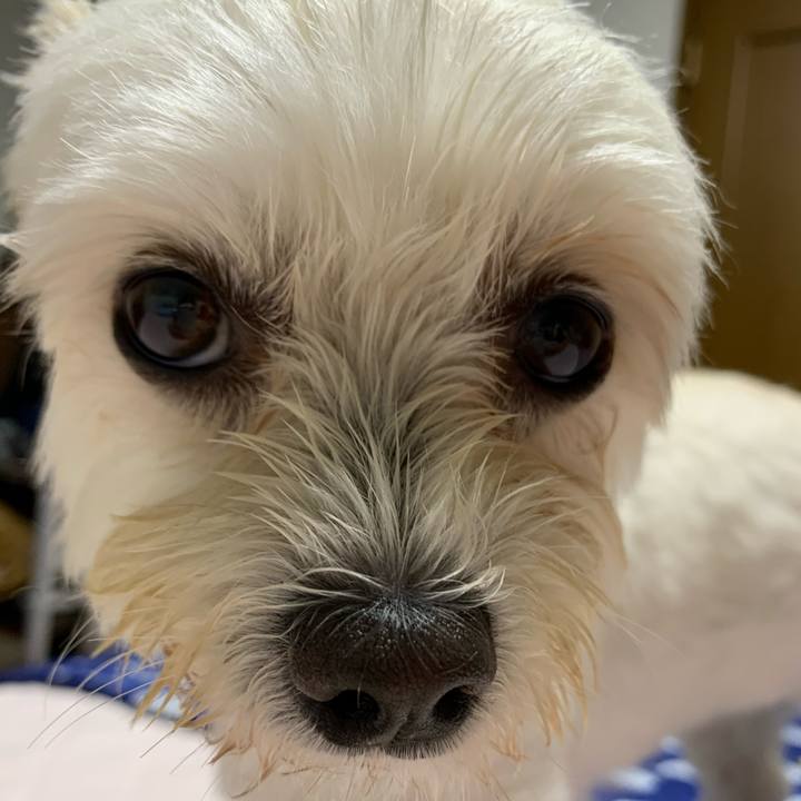 Db5f4dcf 50f3 40a8 84ed 8932f4387bf0 1596895087379