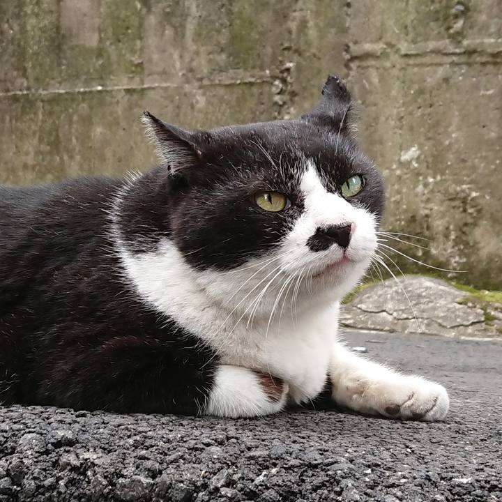 Db5f545a bbba 43d7 b3b4 f8cbf6b306b5 1624762738755