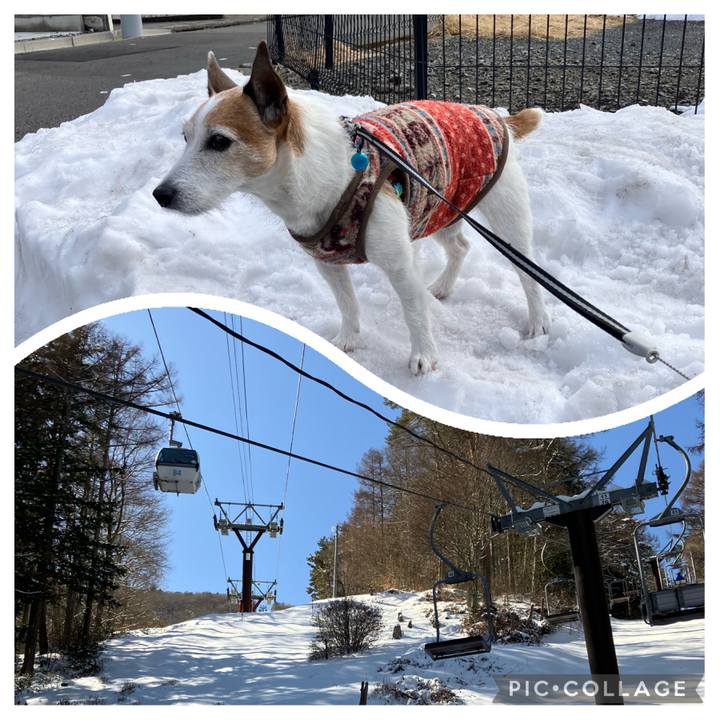 Db5faf39 8a45 4cee 8305 75c0af6dcee7 1707434876126