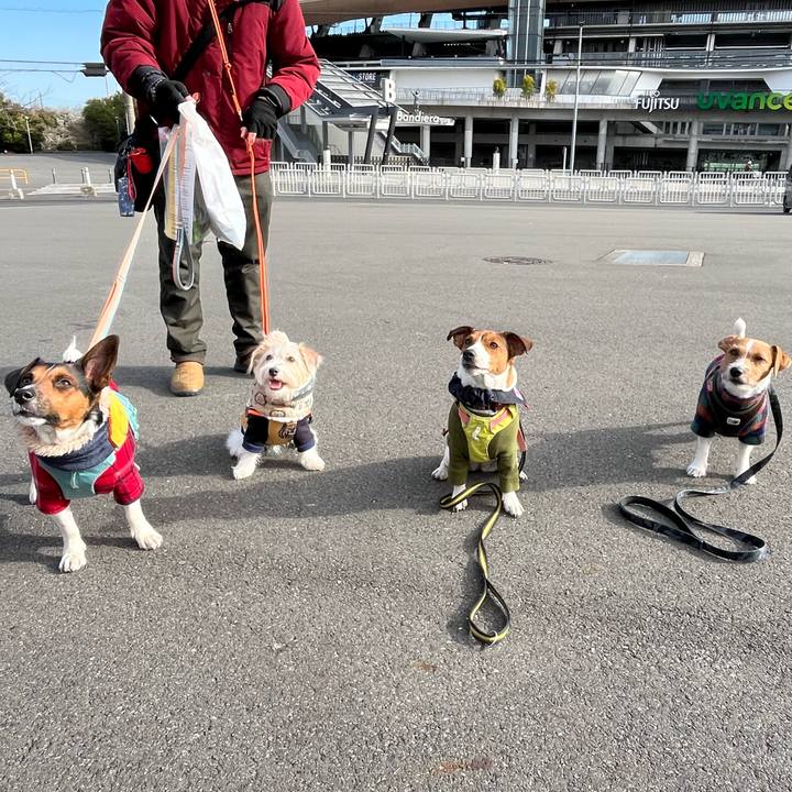 Db5fb8bb 4942 46b0 9928 787544f09469 1765627269692