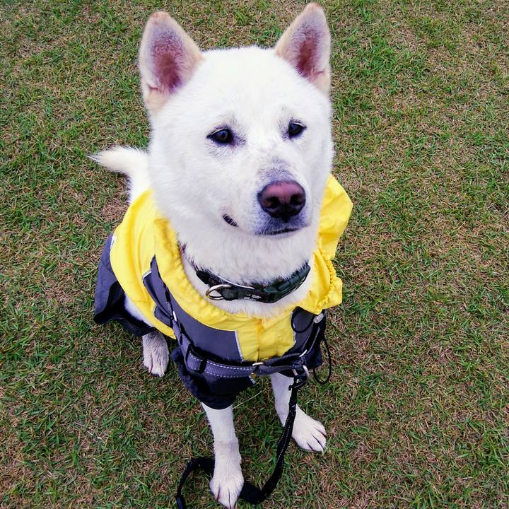 Db5fba6b c80c 46ba 82a8 f09f408b81cd 1525343339685