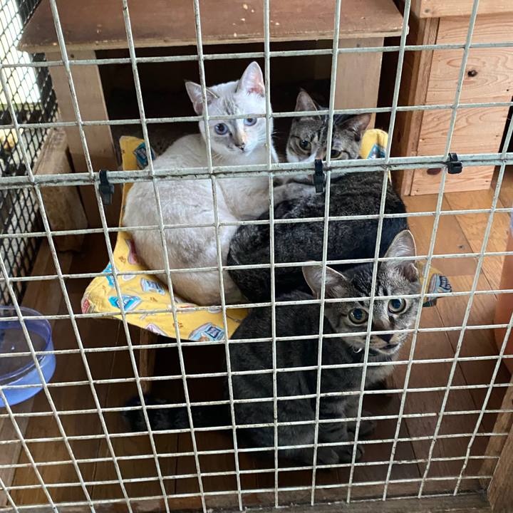 Db5fc0f9 759e 4de7 bdf0 cde6d6f5a161 1662161950433