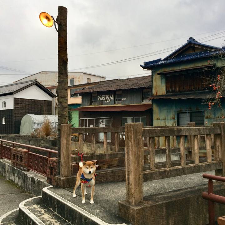 Db5ff241 1f35 4435 a291 b4715b102167 1512983166977