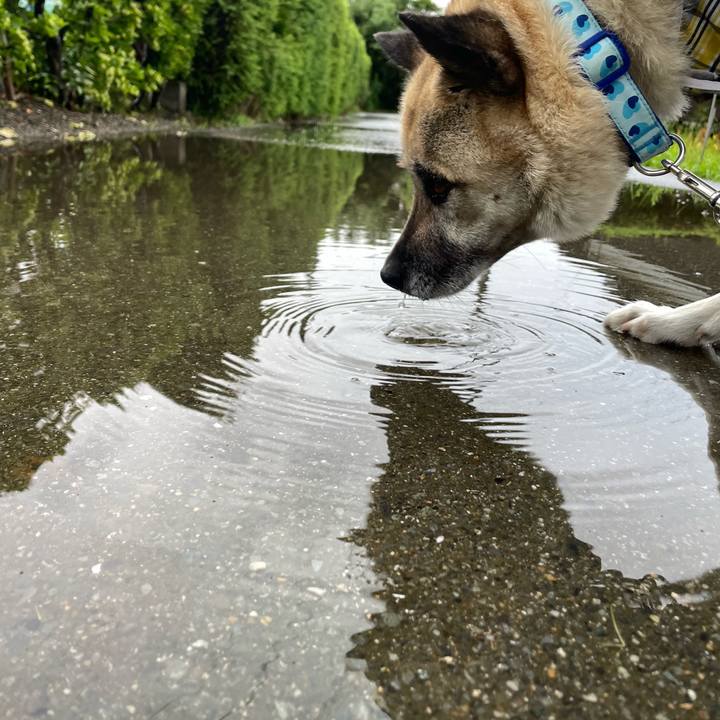 Db6014dd d541 4d18 a8c2 6e85178c4aa6 1687351322768