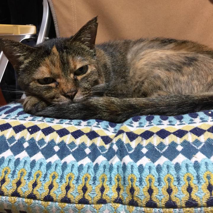 Db601f97 1c73 4c13 9311 e124183a5825 1537234241345