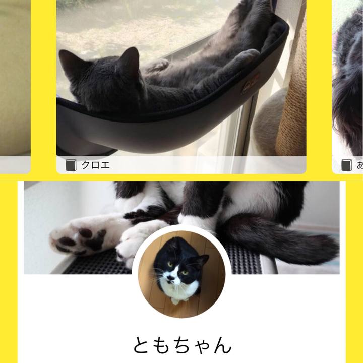 Db60500c 753a 49fb a1c3 b37d2130f135 1540008680924