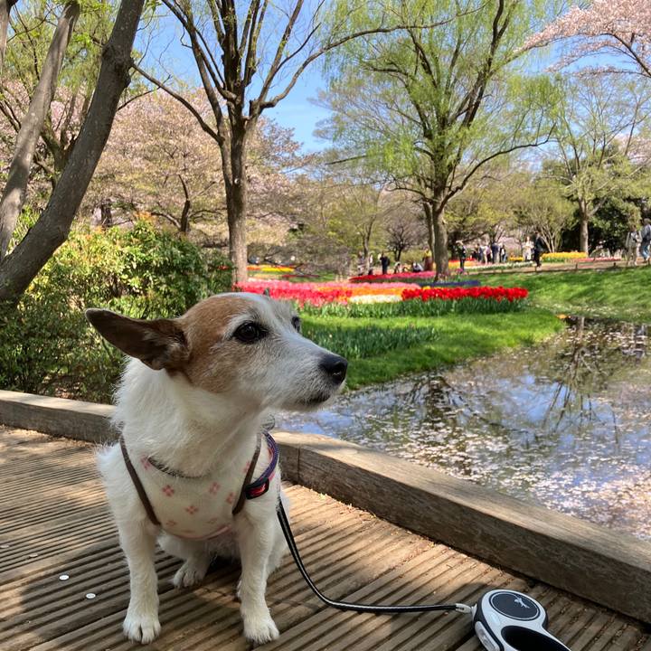 Db605e7c e672 4832 ad01 45354d3eaed5 1713223572182