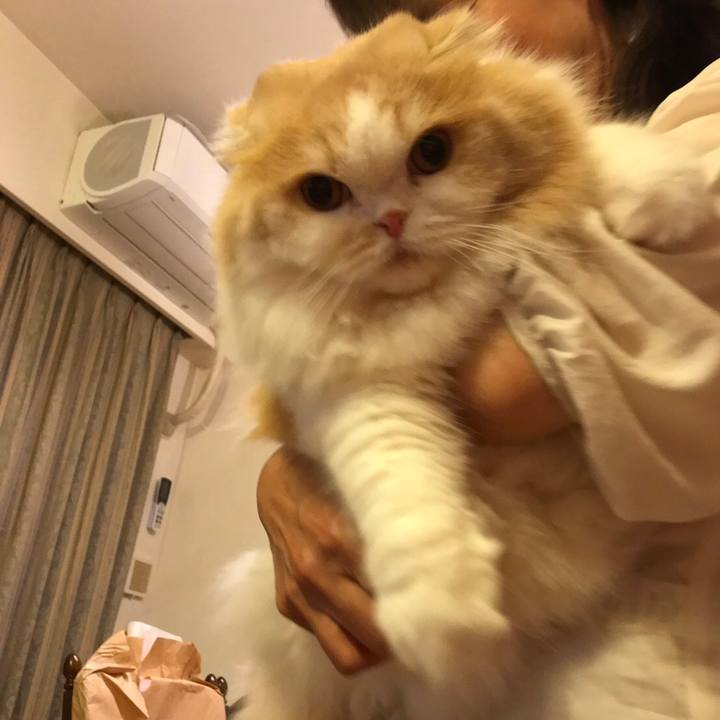 Db608b2d 3953 4884 9308 2d28d9c876d2 1568459359177