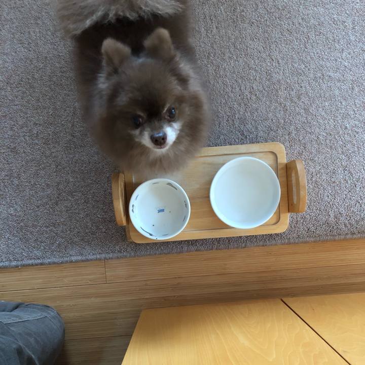 Db609411 c70e 432a a3fb 90603af78035 1590957622313