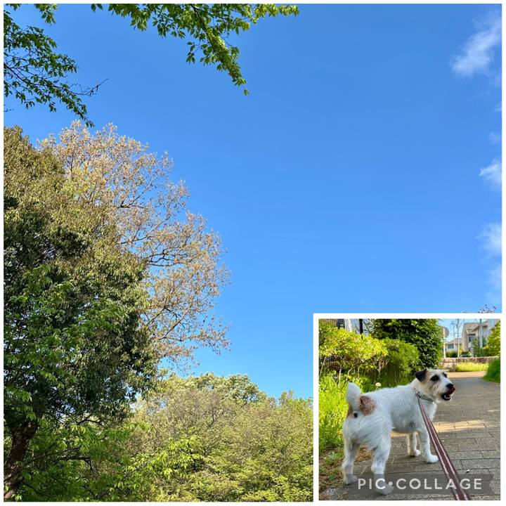 Db60b9e2 1330 4661 b44c f6aca07c3946 1745196154479