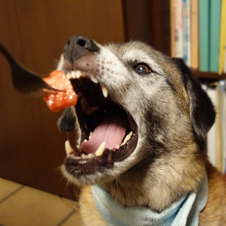 Db60f0b5 d74e 4784 ae59 30686ae08d4f 1691106349662