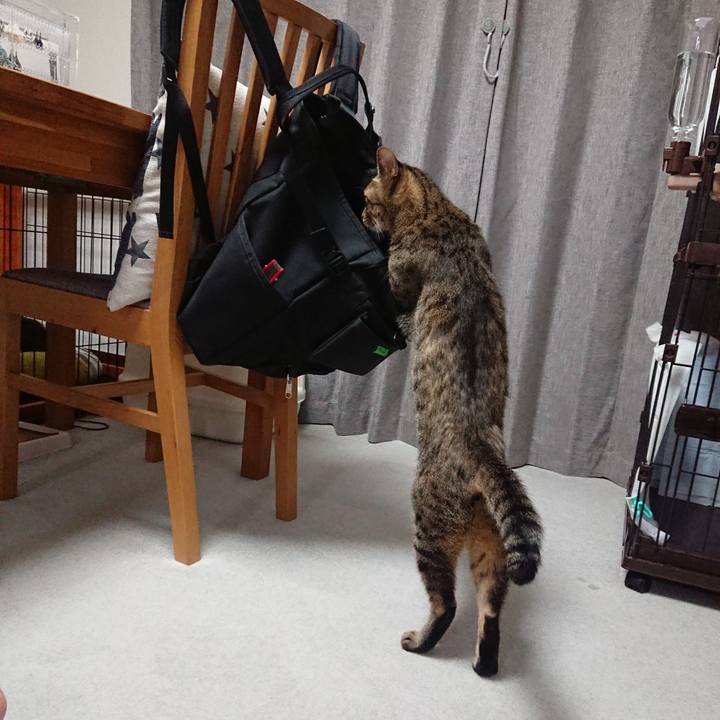 Db610f43 c2c7 4f7b b27d ad837beb5974 1570185470849